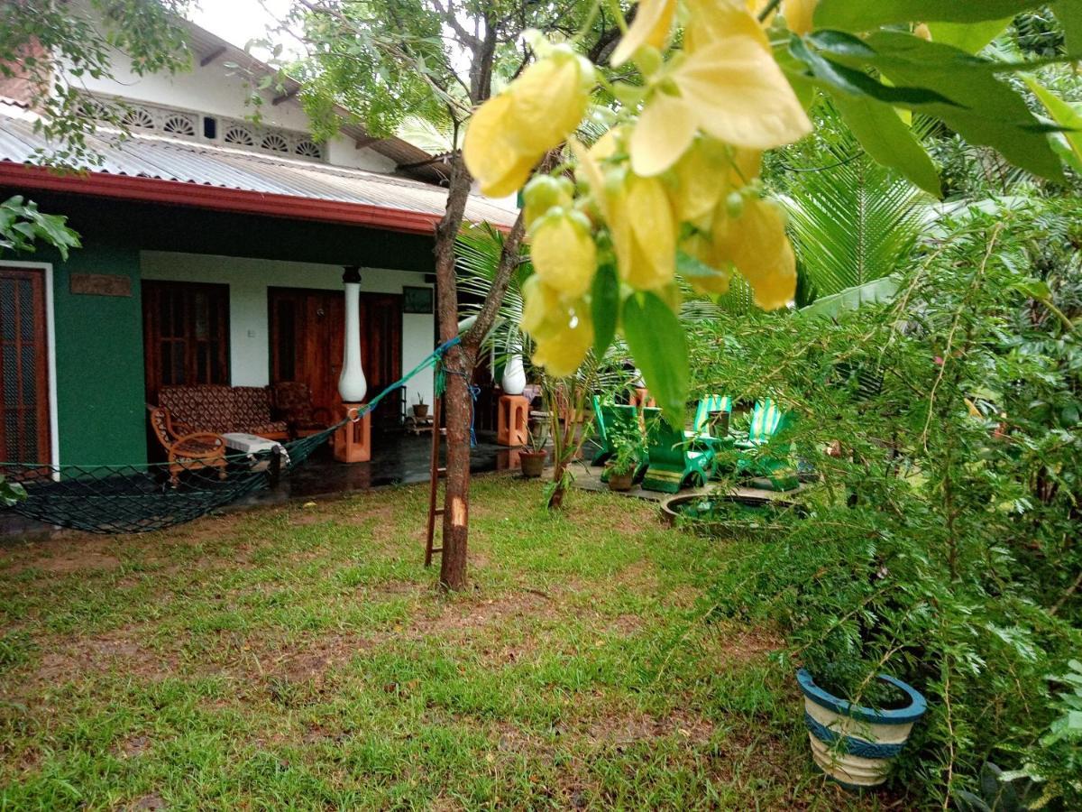 Sigiriya Village Home Stay Ngoại thất bức ảnh
