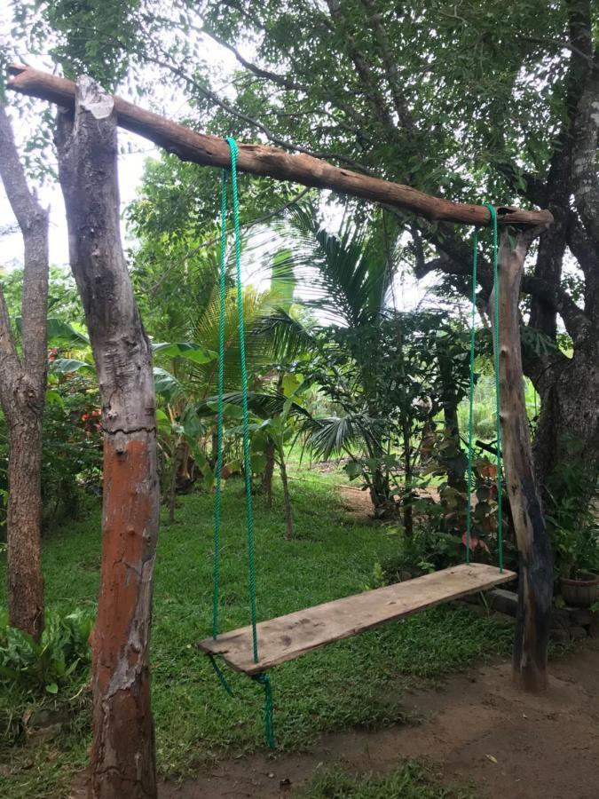 Sigiriya Village Home Stay Ngoại thất bức ảnh