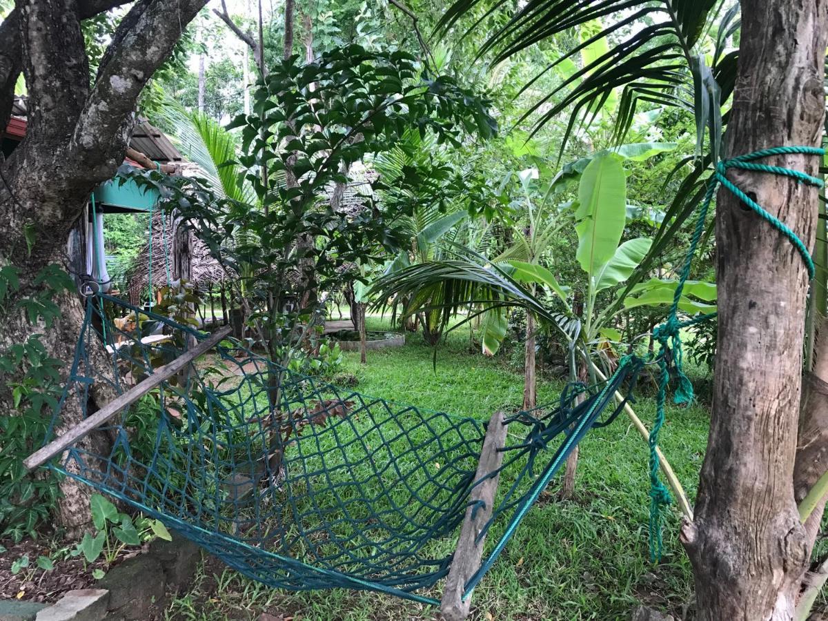 Sigiriya Village Home Stay Ngoại thất bức ảnh