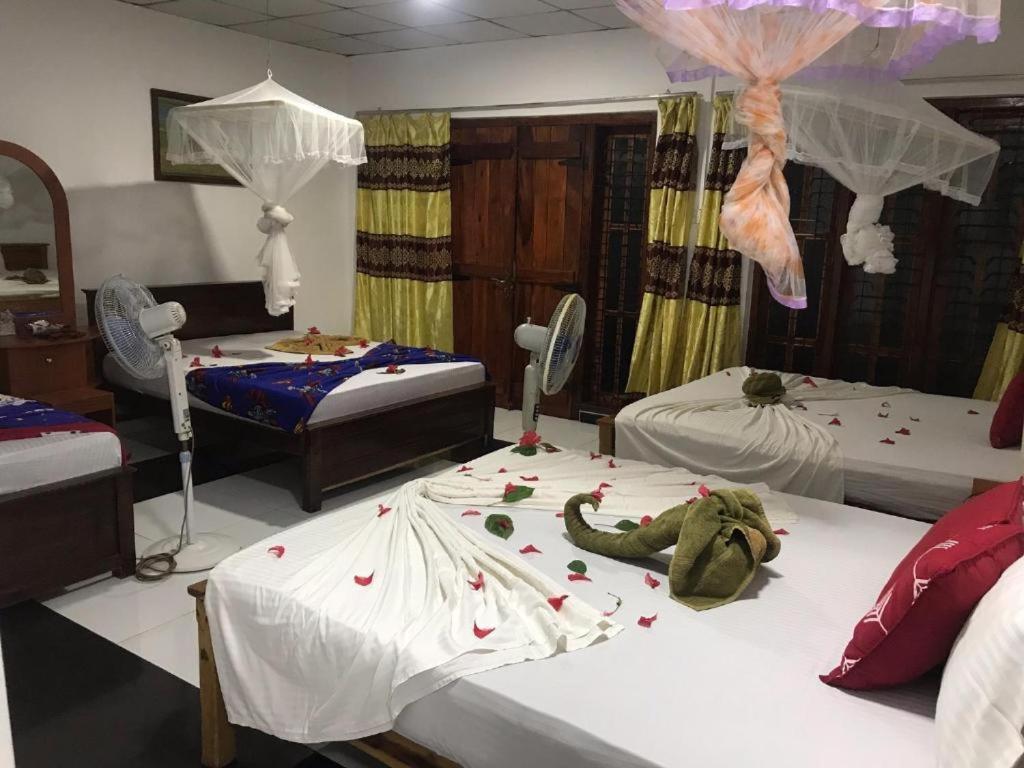 Sigiriya Village Home Stay Ngoại thất bức ảnh